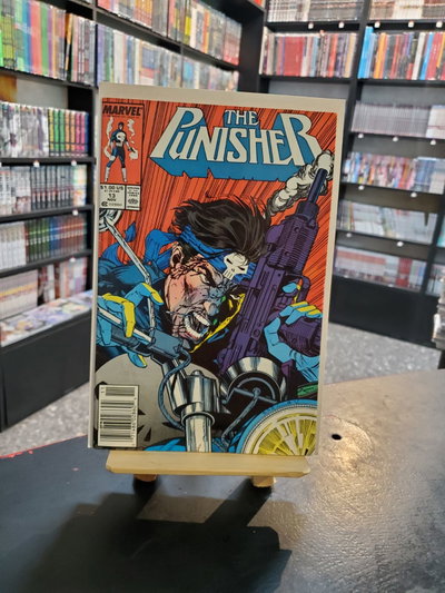 The punisher 13