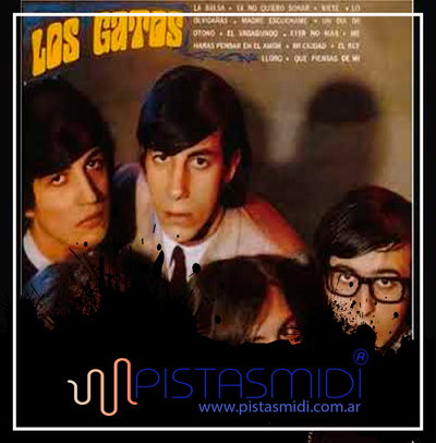 Los Gatos - La balsa