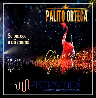 Palito Ortega - Se parece a mi mamá (En vivo)