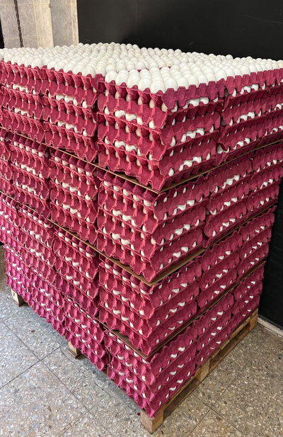 PROMO - 2 maples de huevos de campo
