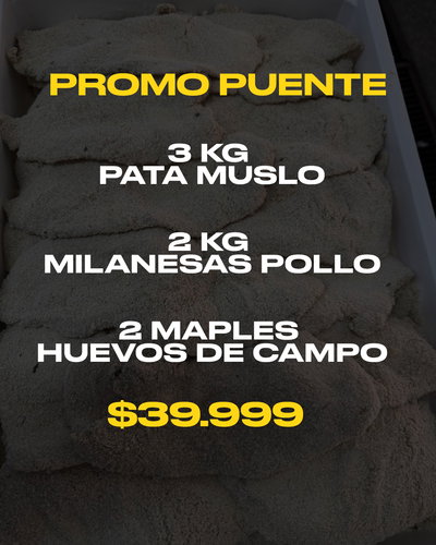 PROMO PUENTE