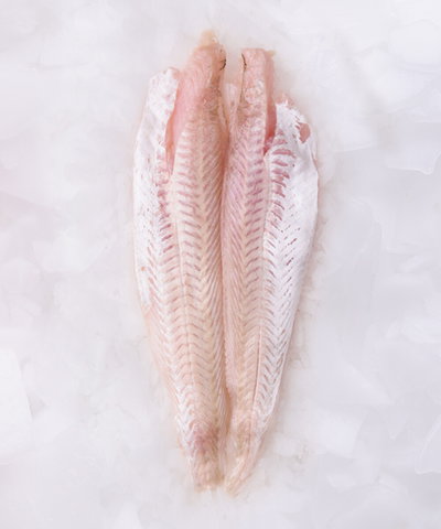 Filet de merluza - 1 KG