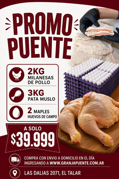 PROMO PUENTE