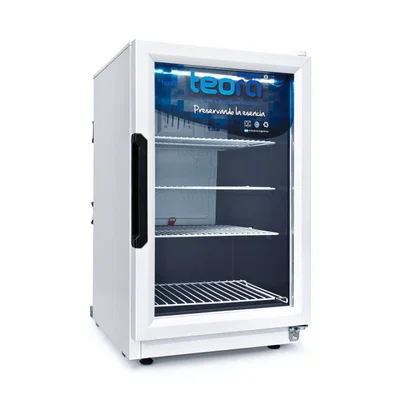 Heladera exhibidora vertical Teora TEV70 