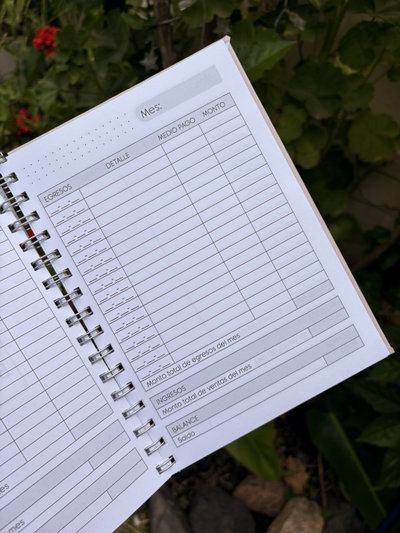 Agenda emprendedora