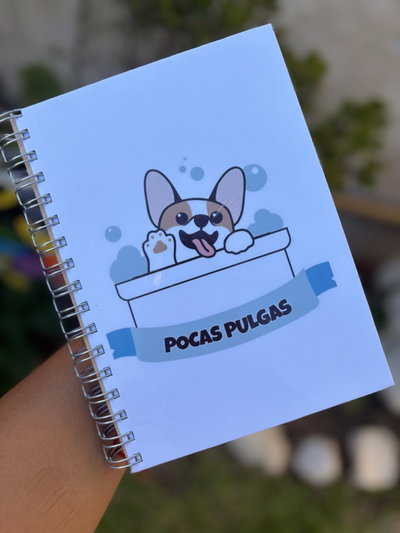 Agenda Turnera 2026