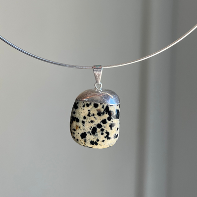 Jaspe dálmata rolada