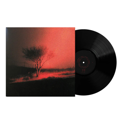 Joji – Piss In The Wind