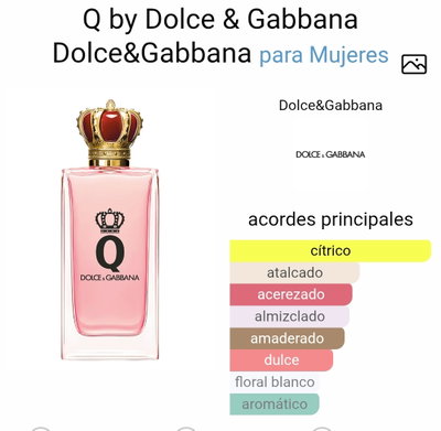 Q by Dolce & Gabanna.-