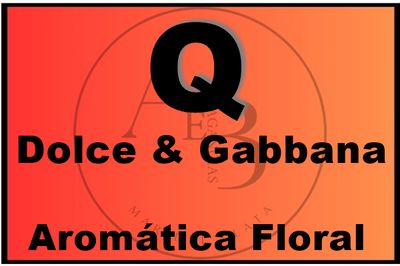 Q by Dolce & Gabanna.-