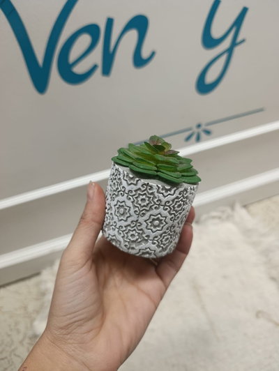 Planta mediana