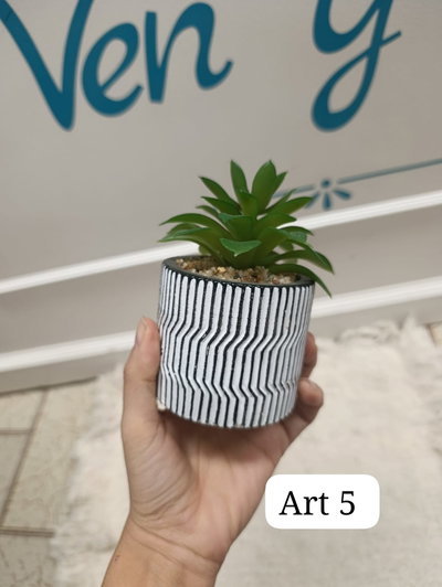 Planta Mediana 