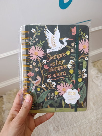 Cuaderno A 5 modelo Apa