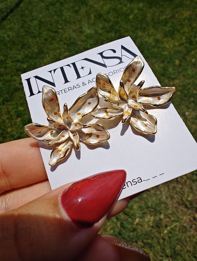 AROS FLORES NACARADAS