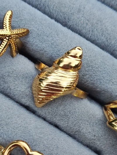 ANILLO CARACOL 🐚