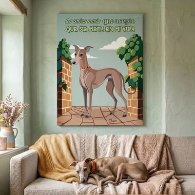 Elegancia Infinita