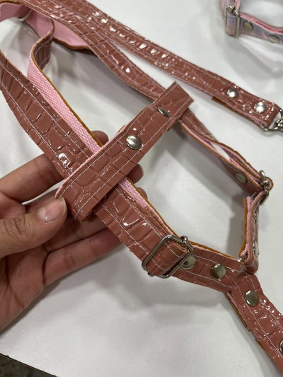 arnes + correa crocco charol rosa 