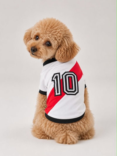 Camiseta de River para perros | Ropa para perros