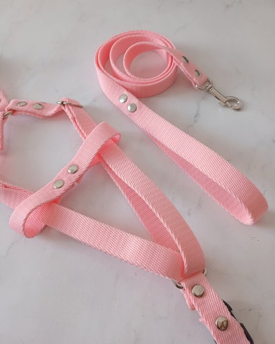 Pechera + correa rosa 