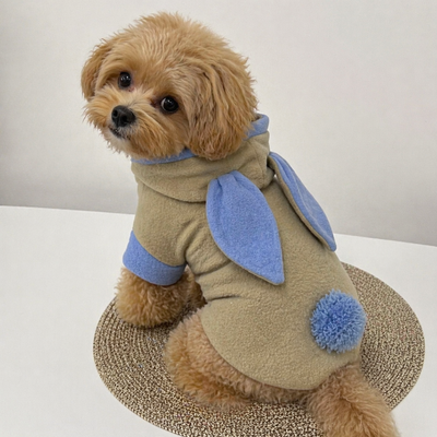 Abrigo para mascotas disfraz de conejo celeste 