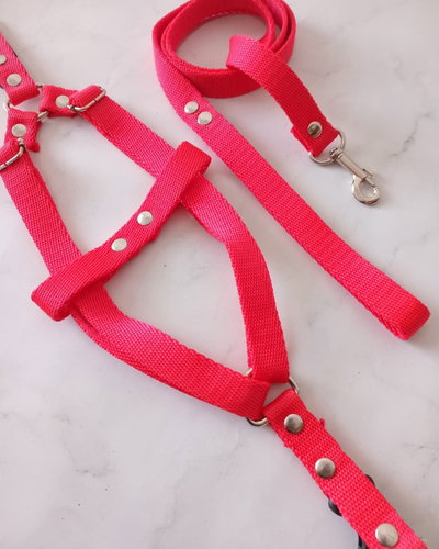 Pechera + correa fucsia