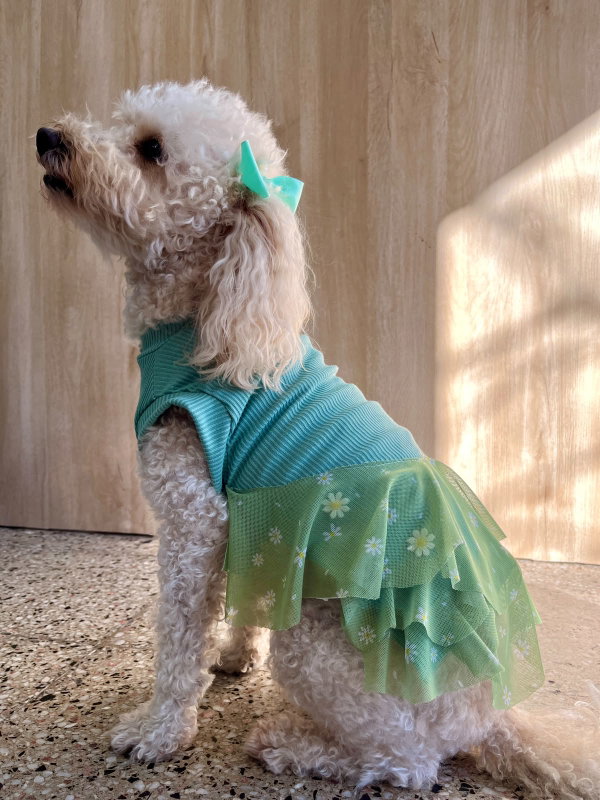 Vestido Tink | vestido para mascotas 