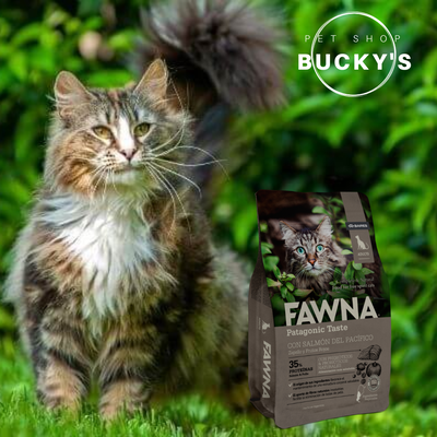 FAWNA CAT ADULT 3 KG