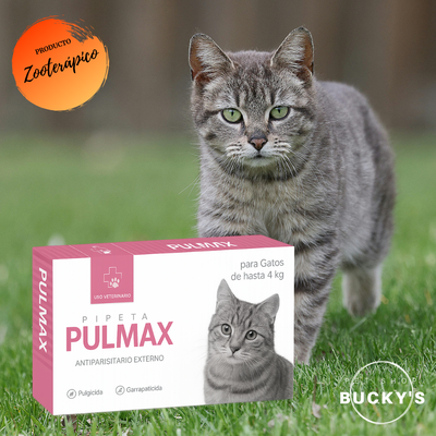 PIPETAS PULMAX GATOS