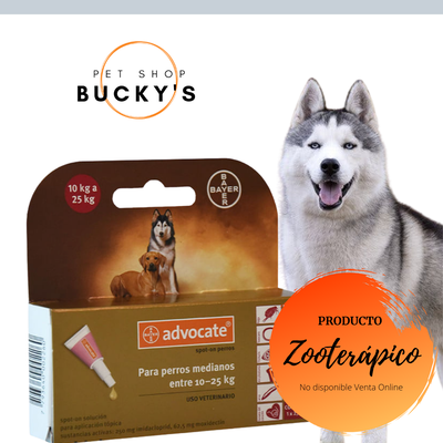 PIPETAS ADVOCATE PERROS