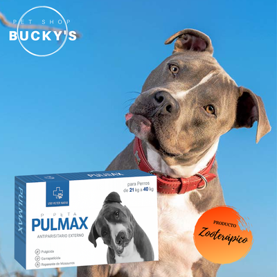 PIPETAS PULMAX PERROS