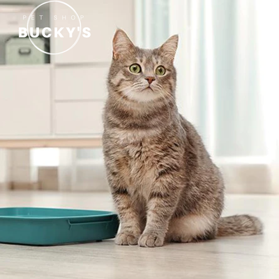 PIEDRAS SANITARIAS ROQUITAS CRIADORES X 1.8 KG