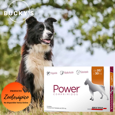 POWER COMPRIMIDOS ANTIPULGAS PERROS 20.1 - 30 KG