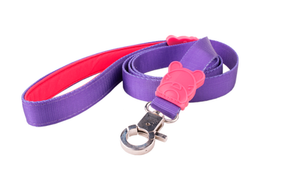 CORREA MAFIA DOG SMALL