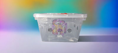 ⚡Kit RAPIDO completo⚡🍄Medida S