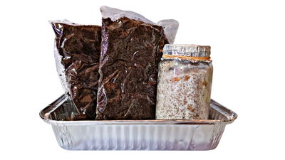 ⚡Eco-Kit ♻ RAPIDO⚡🍄 %100 colonizado