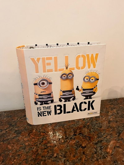 Carpeta N° 3 Mooving Minions