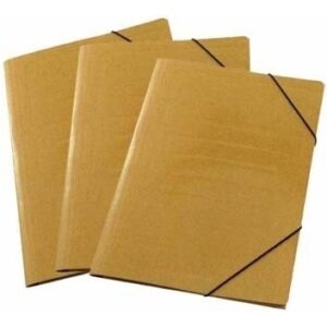 Carpeta 3 Solapas con Elastico 