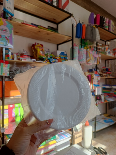 Platos plásticos 17cm