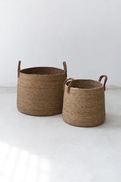 Canasto Sumu Recto Grande