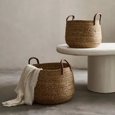 Canasto Sumu Bombe Manija Cuernina Grande