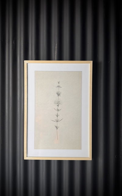 Cuadro Flores Delicadas 60X40 Sin Borde Natural