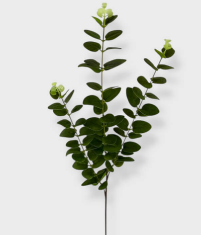 Ramo Eucalipto 94Cm