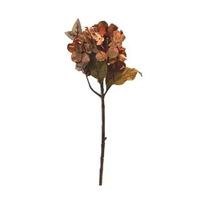 Hortensia Marron 45Cm