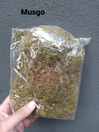 Musgo 50grs