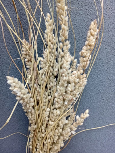 Arroz Marino