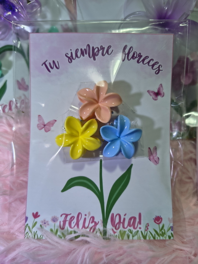 Broches para el pelos x3,chikitas ,x 1 paquetes