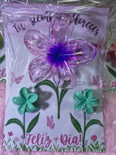 BROCHES PARA EL PELO 1 GRANDE Y 2 CHICOS , X1 PAQUETE 