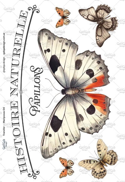 TR - Mariposas 04