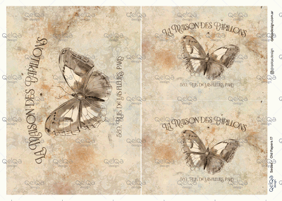 Seda - Old Papers 17