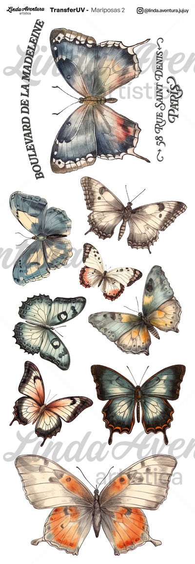 UV - Mariposas 02